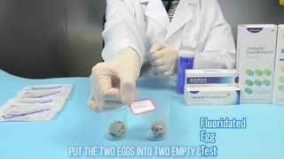 اختبار البيض المفلور